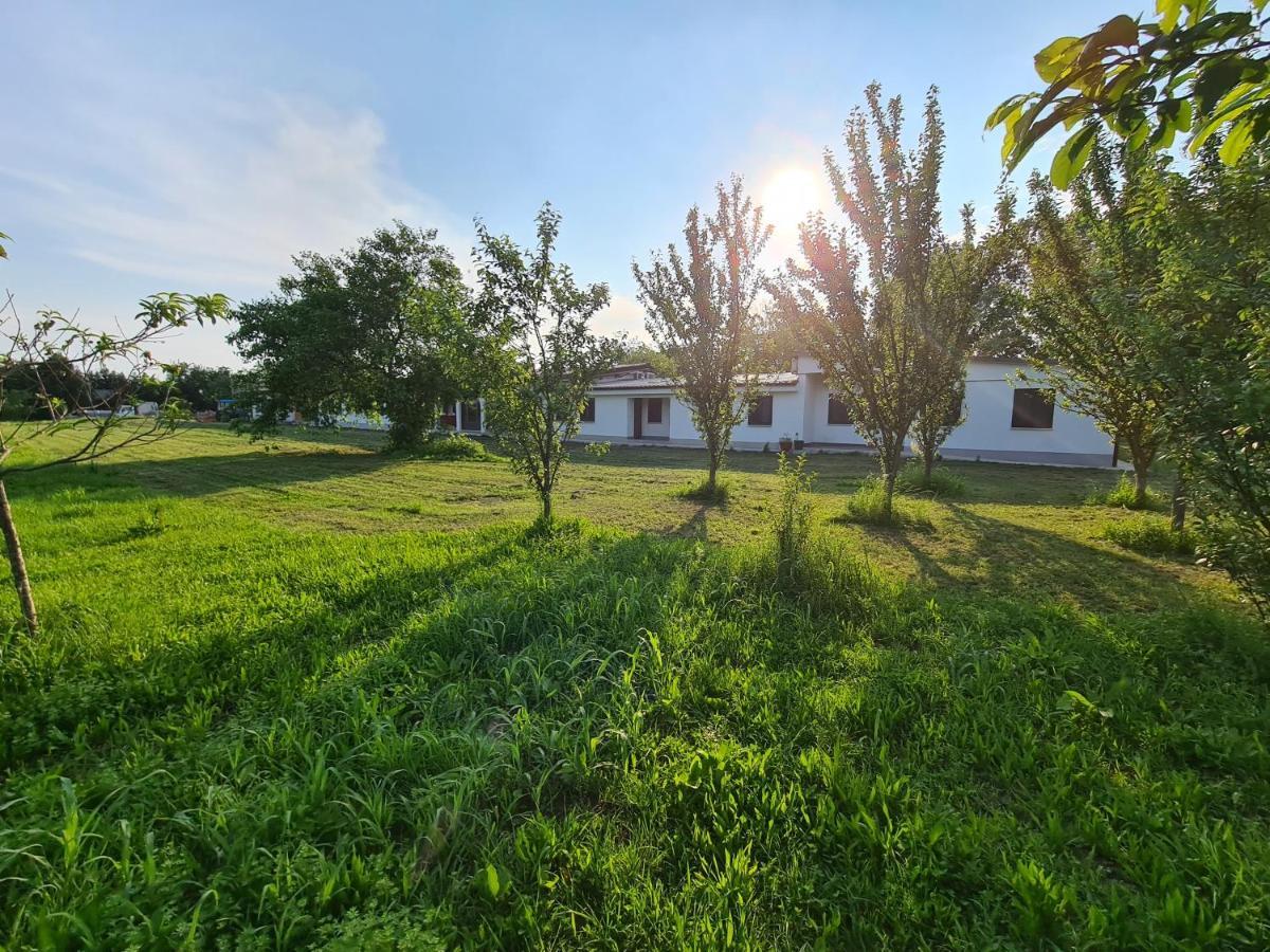 Agriturismo Ca Novak Venezia Spinea Exteriör bild